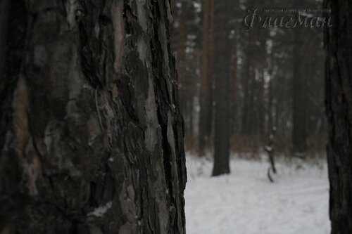 _MG_4825_r